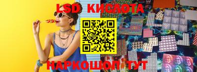 крисы Гагарин