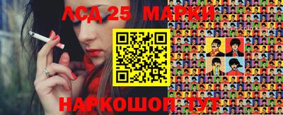 крисы Гагарин