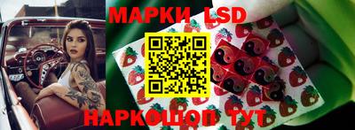 крисы Гагарин