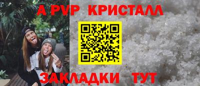 крисы Гагарин