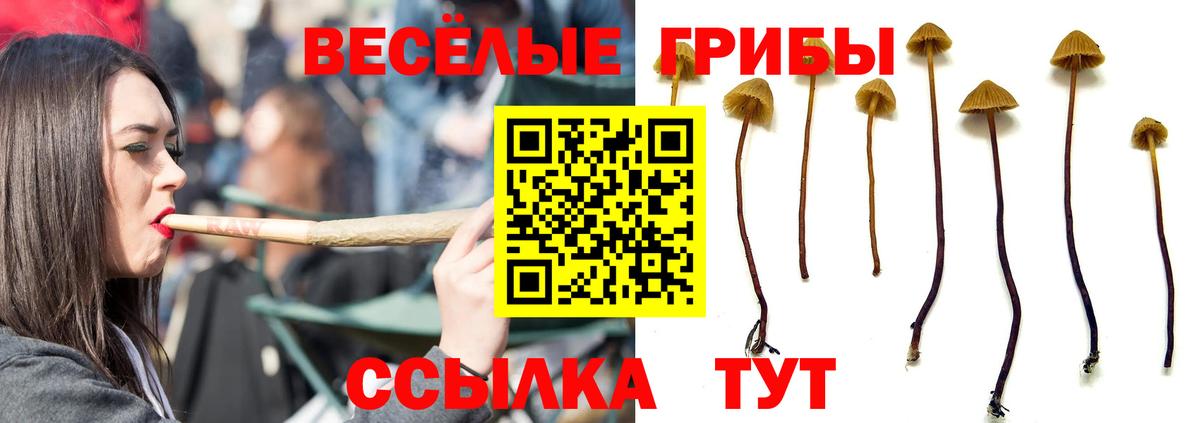 Нижневартовск  Галлюциногенные грибы прущие грибы  Вход с VPN 